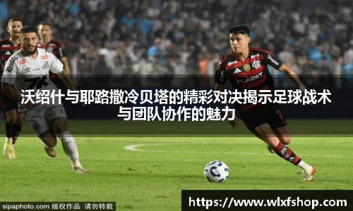 bsports必一体育